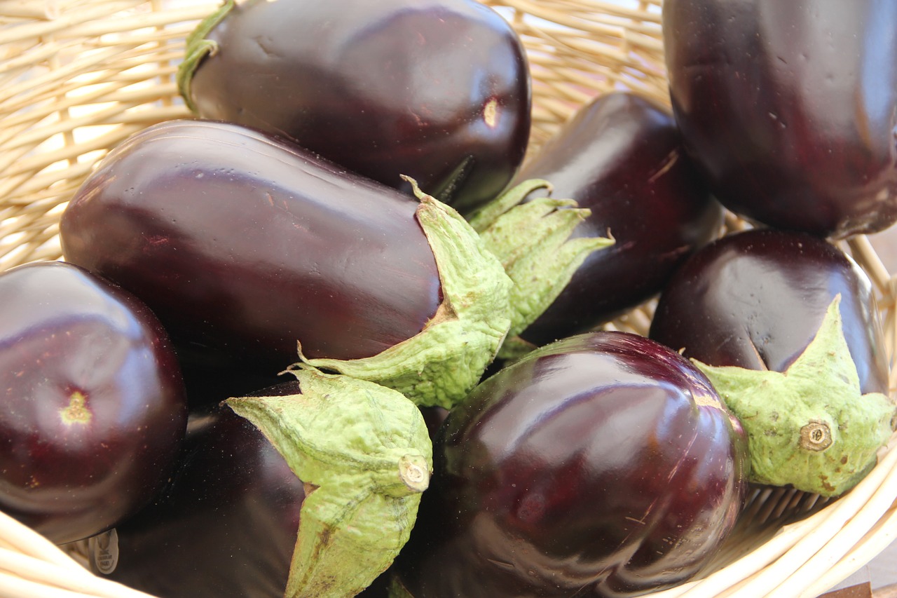 eggplant-237448_1280